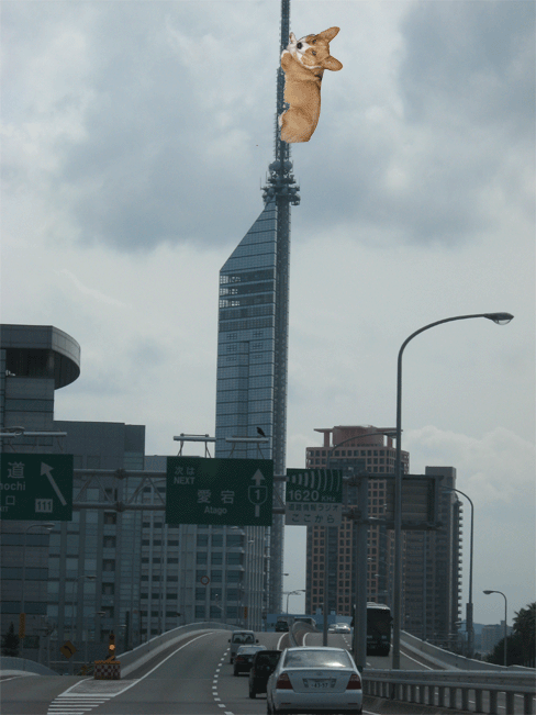 福岡タワーだよ（笑）